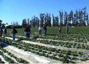 Farmworker Housing - Immersion Event